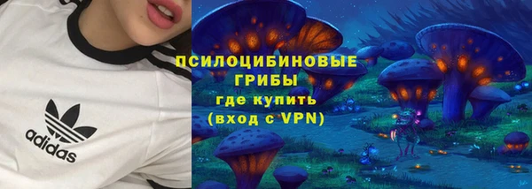 прущие крисы Беломорск