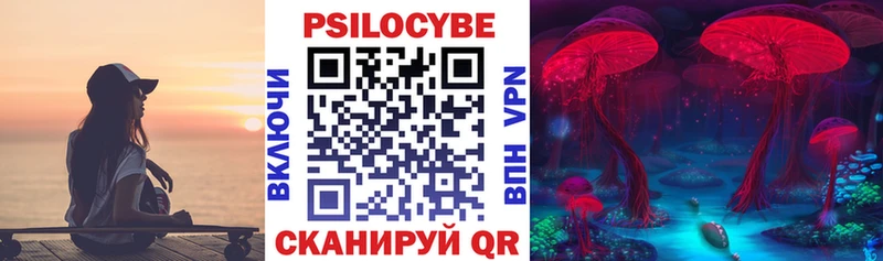 Псилоцибиновые грибы Cubensis  Яровое 
